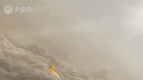17.gif